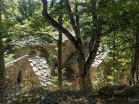 Abbaye ND de Lure  Vue d'ensemble dans son écrin de verdure ...