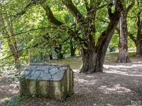 Abbaye ND de Lure  En face de l'entrée au Sud ...