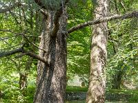 Abbaye ND de Lure  Vue du site. On voit au centre la porte de l'abbaye ...