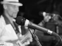 Amigos - Tribute to Santana