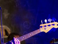 Amigos - Tribute to Santana  Fender JAZZ BASS
