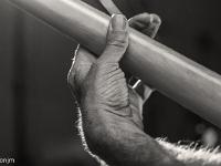 Amigos - Tribute to Santana