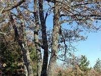 Autour d'Upaix  Sur le sentier ...