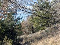 Autour d'Upaix  Sur le sentier ...