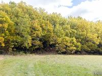 Autour de Ballons - Drôme  A l'orée du bois ...