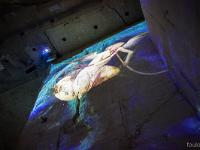 Carrières de Lumières "Bosch, Brueghel, Arcimboldo"