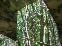 Carrières de Lumières "Bosch, Brueghel, Arcimboldo"