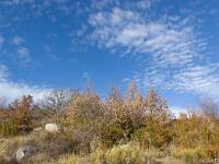 Chapelle Saint-Claude  Végétation et ciel moutoneux