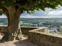 Château de la Madeleine - Chevreuse  Vue sur Cheurvreuse et la forêt depuis le château