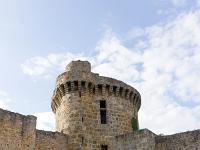 Château de la Madeleine - Chevreuse  La tour de l'intérieur