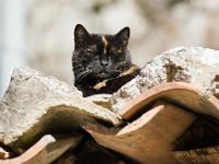 Sisteron - Quartier de la Baume
