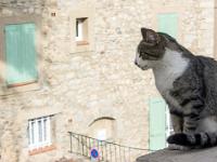 Sisteron - Quartier de Bourg Reynaud