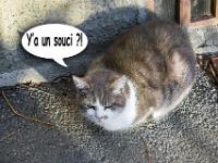 Sisteron - Quartier de la Coste