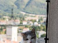 Sisteron - Quartier de la Coste