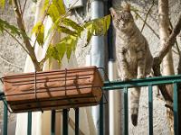 Sisteron - Quartier de la Coste