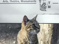 Sisteron - Entrée de la citadelle