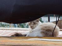 A Douarnenez (Bretagne)