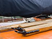 A Douarnenez (Bretagne)