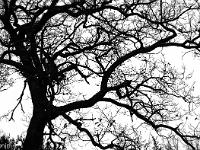 Sue le plateau du Collet - Sisteron  Contre jour