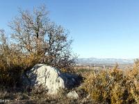 Sue le plateau du Collet - Sisteron  Vue vers le Nord