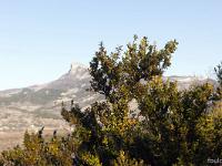 Sue le plateau du Collet - Sisteron  Vue vers le Nord/Est