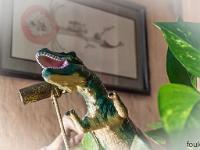 Confinement - Covid 19  Dinausaure