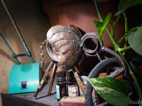 Confinement - Covid 19  Elephant