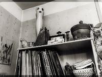 Confinement - Covid 19  Sur l'étagère, je gère ! ...