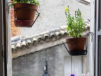 Confinement - Covid 19  Mon petit coin de nature est terminé 2/2