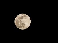 Confinement - Covid 19  Pleine lune de la fenêtre de ma cuisine