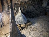 Le Corps et le Sacré  Petite cave - Audrey Barbati