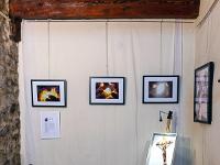 Le Corps et le Sacré  Niveau 1 - Sylvian Poncet