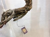 Le Corps et le Sacré  Vitrine détail - Chris Etoffes