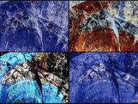 Créations Graphiques  Abstraction 2/2