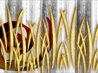 Créations Graphiques  Arobase aux roseaux