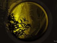 Créations Graphiques