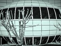 Créations Graphiques  Toyota Sisteron