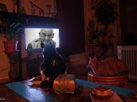 Créations Graphiques  Papa ! ...