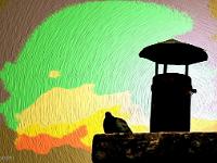 Créations Graphiques  Le pigeon et la cheminée