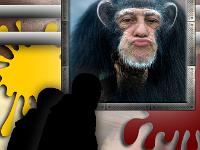 Créations Graphiques  Expo