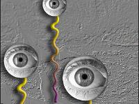 Créations Graphiques  Progéniture au aguets