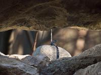 Créations Graphiques  Pierre qui ne roule pas n'amasse rien ! ...