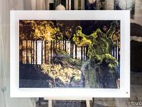 Des Résonances / Des Résonances  Foulon Jean-Marc - Thème des bois brûlés