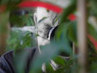 Exposition Collective galerie La Grange à Gap  Foulon Jean-Marc - Photographie