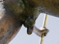 Nicolas Lavarenne - Citadelle de Sisteron - Eté 2015