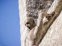Nicolas Lavarenne - Citadelle de Sisteron - Eté 2015