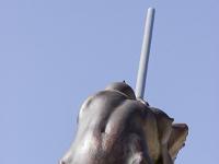 Nicolas Lavarenne - Citadelle de Sisteron - Eté 2015