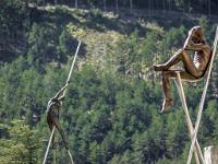 Nicolas Lavarenne - Citadelle de Sisteron - Eté 2015