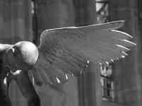 Nicolas Lavarenne - Citadelle de Sisteron - Eté 2015