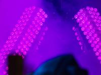 Sisteron - Fête foraine  Lyre